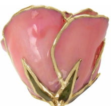 Cargar imagen en el visor de la galería, Lacquered and Gold Trimmed Rose - Pink