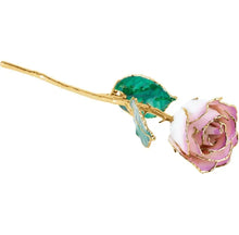 Cargar imagen en el visor de la galería, Lacquered and Gold Trimmed Rose - Cream and Pink