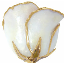 Cargar imagen en el visor de la galería, Lacquered and Gold Trimmed Rose - White