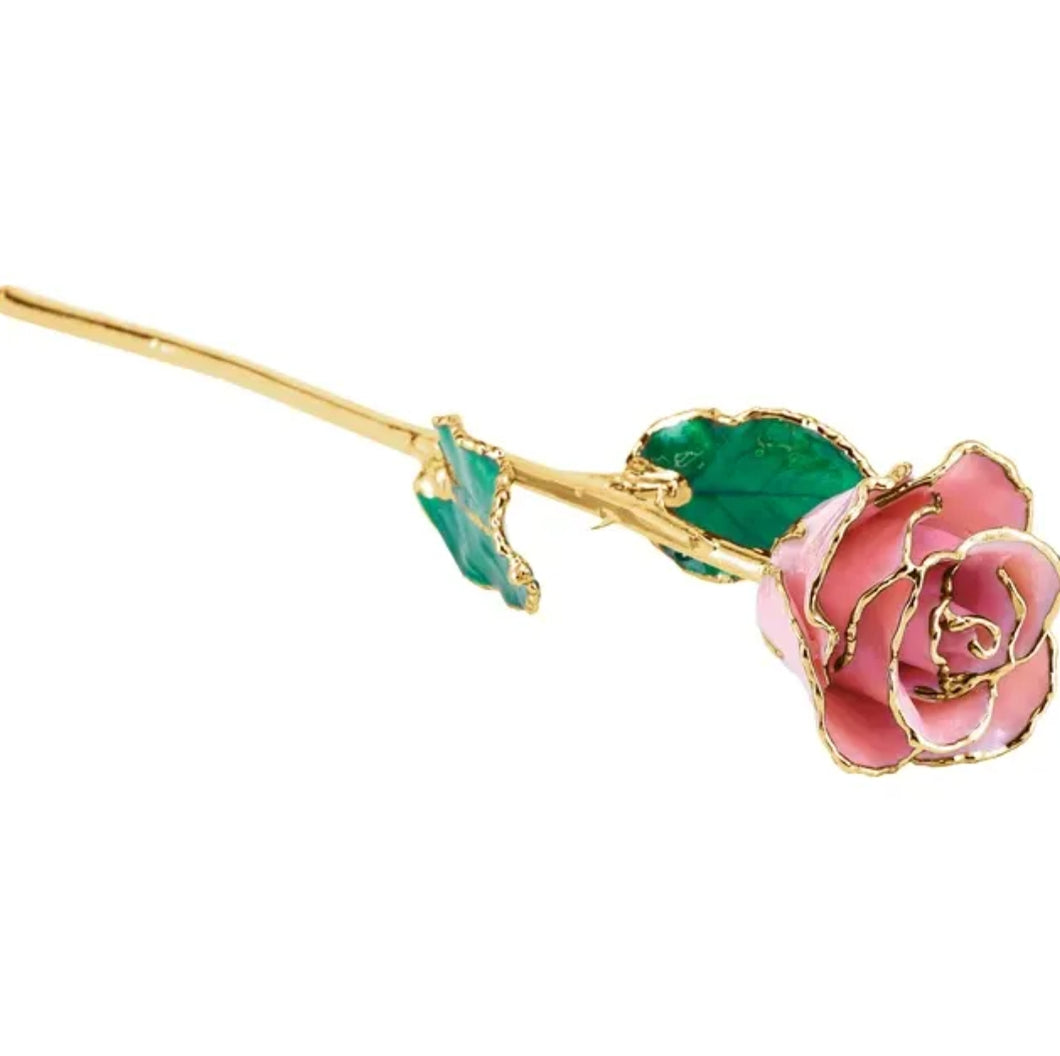 Lacquered and Gold Trimmed Rose - Pink
