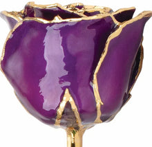 Cargar imagen en el visor de la galería, Lacquered and Gold Trimmed Rose - Purple