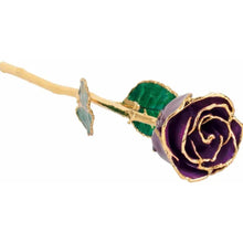Load image into Gallery viewer, Lacquered and Gold Trimmed Rose - Purple