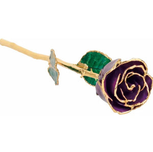 Lacquered and Gold Trimmed Rose - Purple