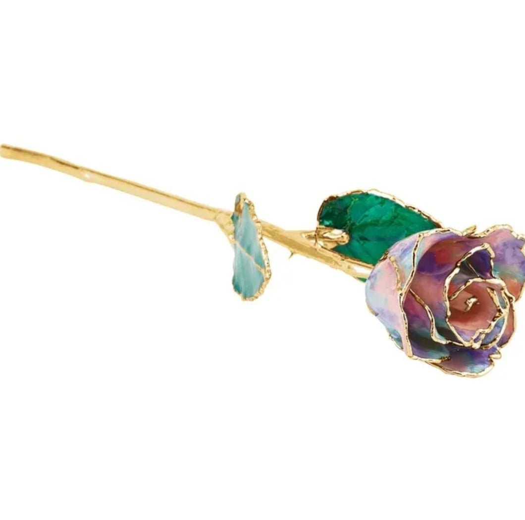 Lacquered and Gold Trimmed Rose - Opal